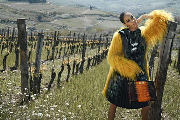 Fendi 2012ﶬϵЏVDƬ